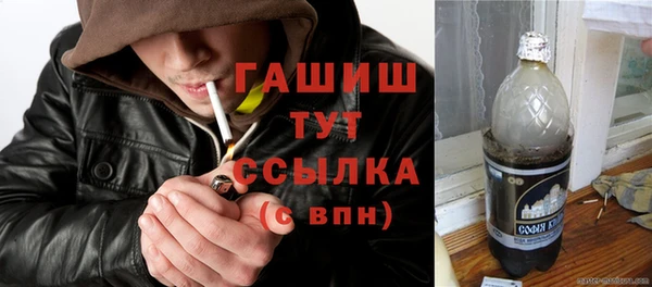 сатива Дмитровск