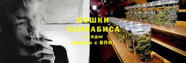 сатива Дмитровск