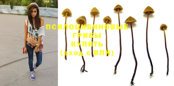 каннабис Гусев