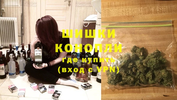 мдпв Гусь-Хрустальный