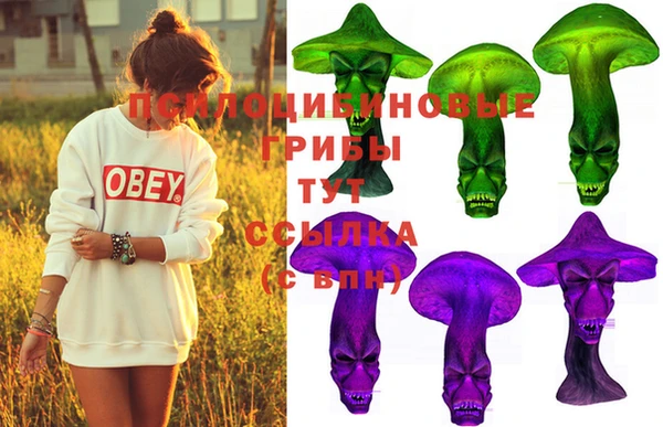 гашиш Дмитров