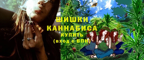 сатива Дмитровск