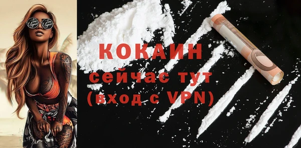 сатива Дмитровск