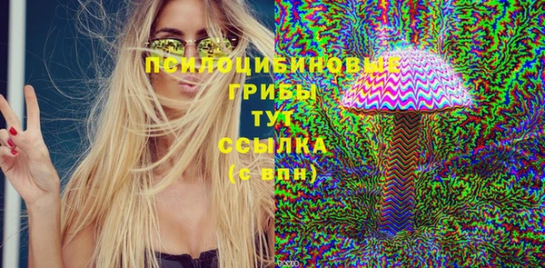 скорость Дмитриев