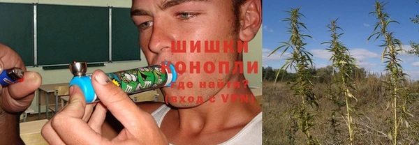 каннабис Гусев