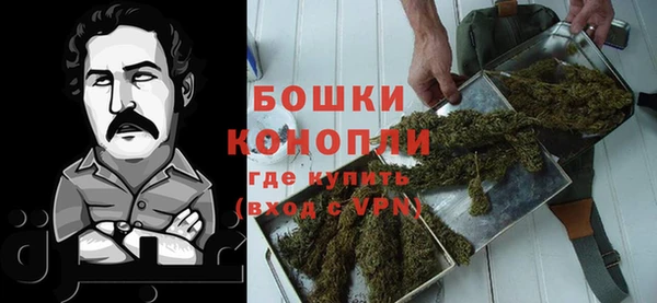 мдпв Гусь-Хрустальный